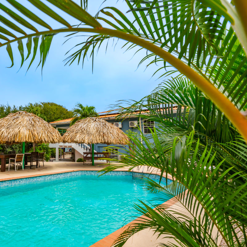 piscina-800x800-dsc02487-1